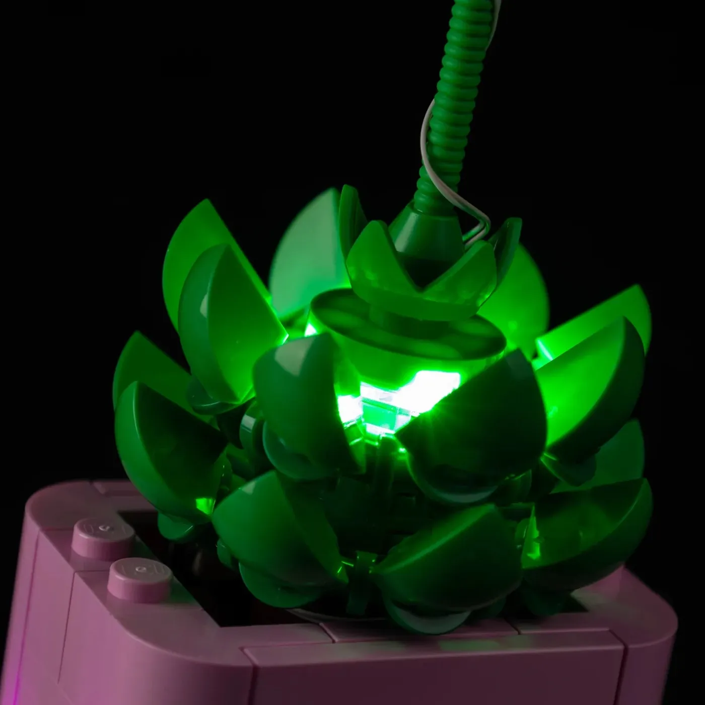 Premium Light Kit Compatible with LEGO Botanicals Rocking Plants 11506 — 16