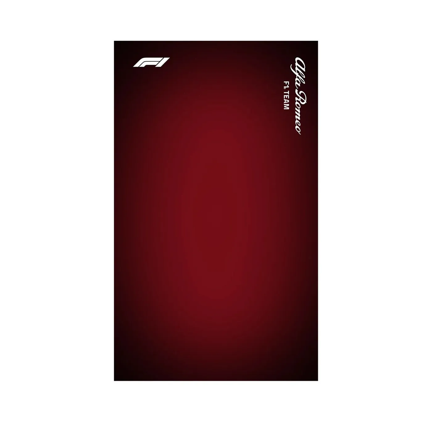 Väggmonterad displayram för Alfa Romeo F1 Team ORLEN C42 C64005 — 27
