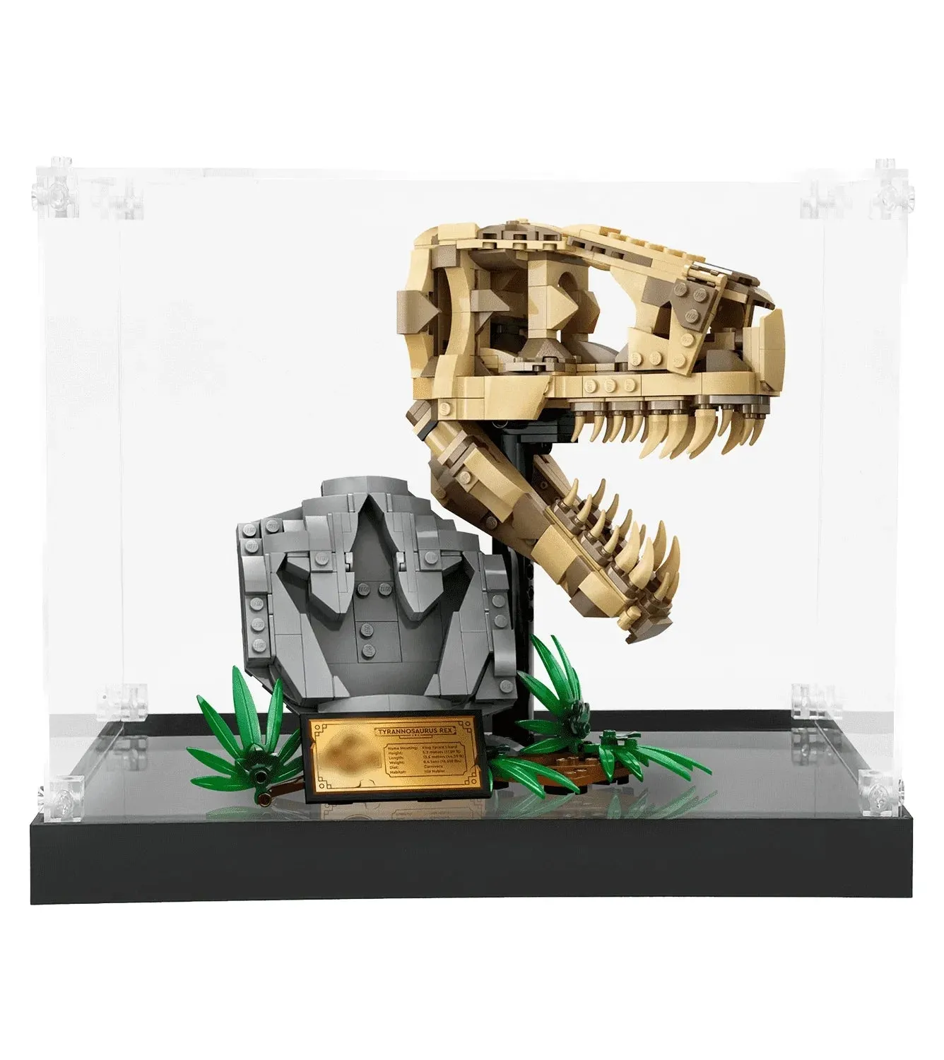 Eksponavimo dėžė Lego Dinosaur Fossils T. rex Skull 76964