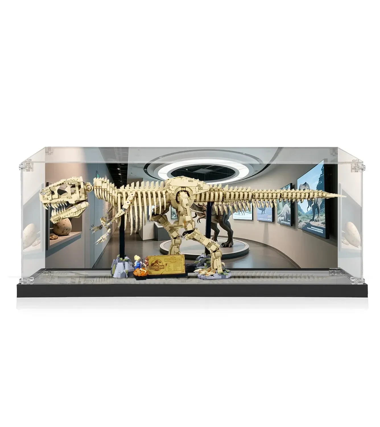 Premium Painted Acrylic Display Case for LEGO® Jurassic World™ Dinosaur Fossils: T. rex (76968) — 11