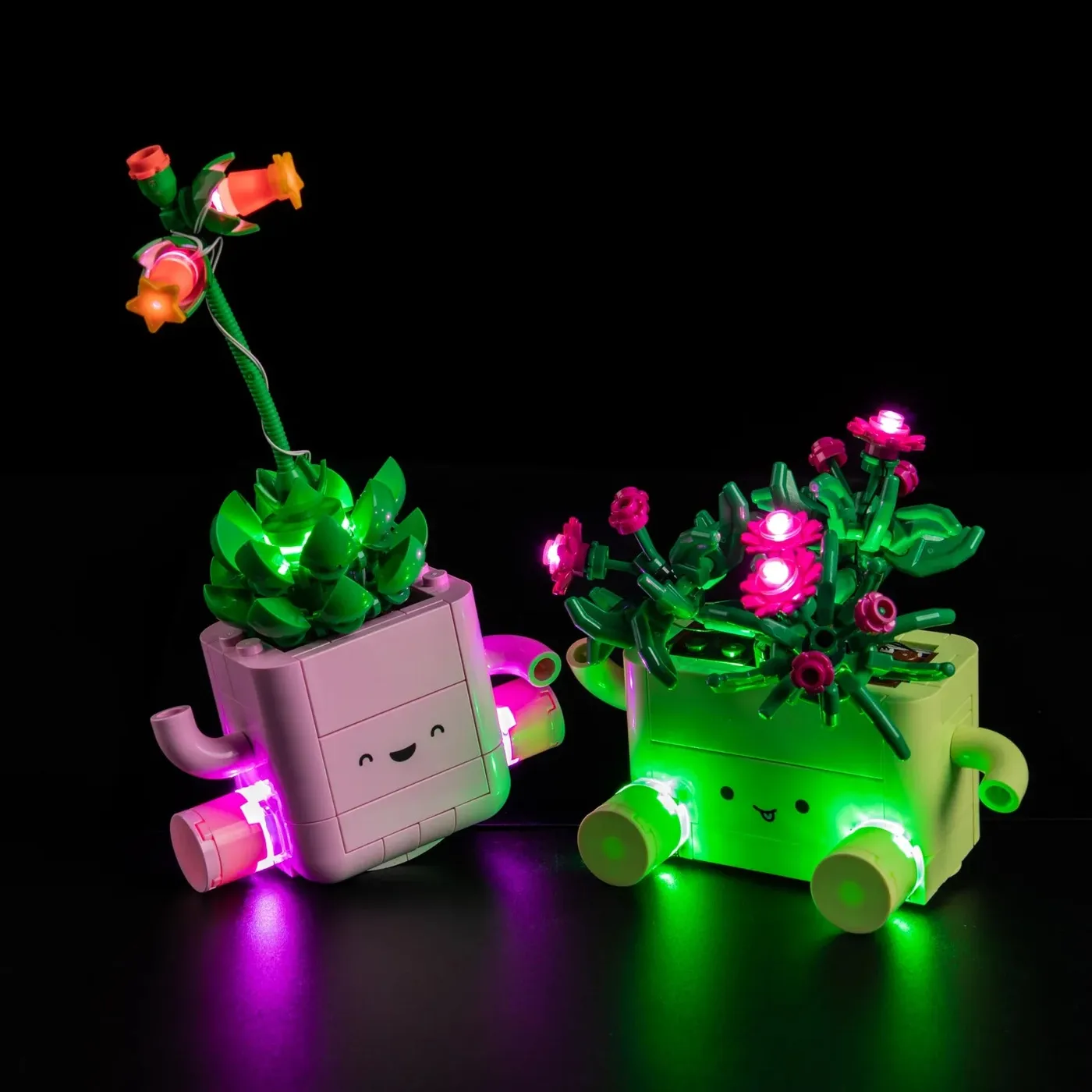 Premium Light Kit Compatible with LEGO Botanicals Rocking Plants 11506 — 7