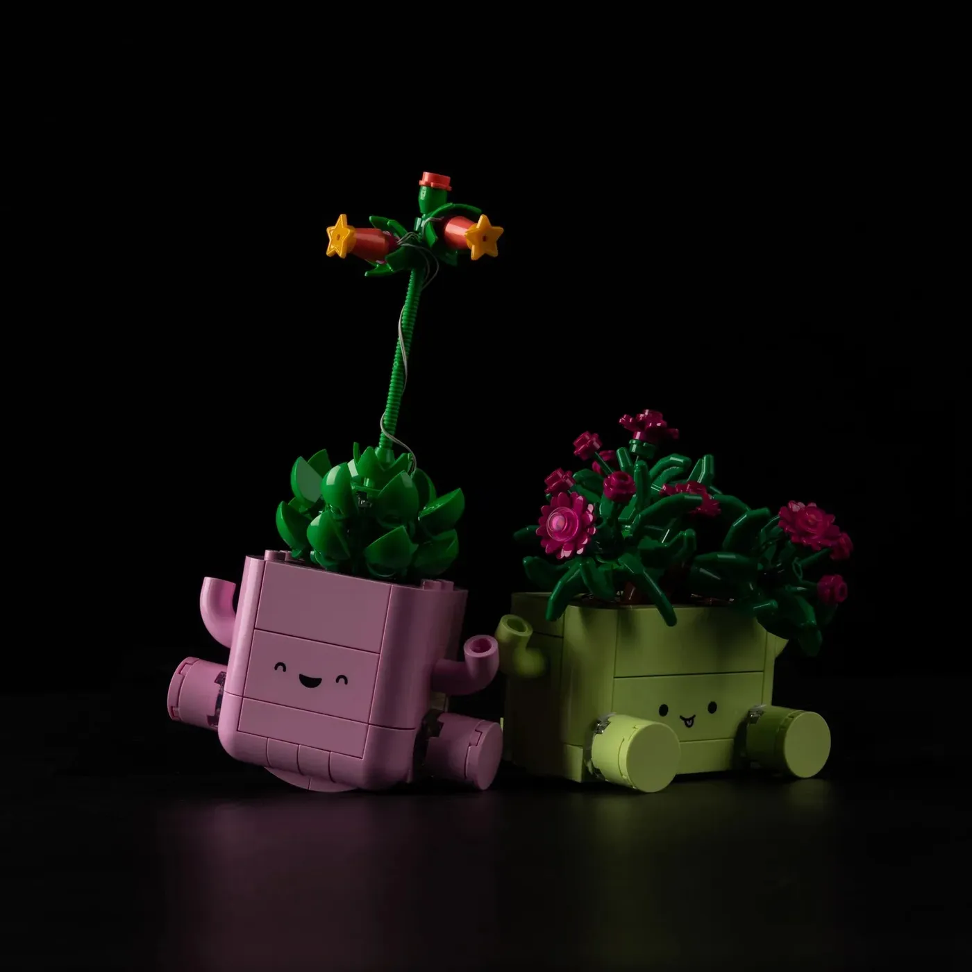 Premium Light Kit Compatible with LEGO Botanicals Rocking Plants 11506 — 12