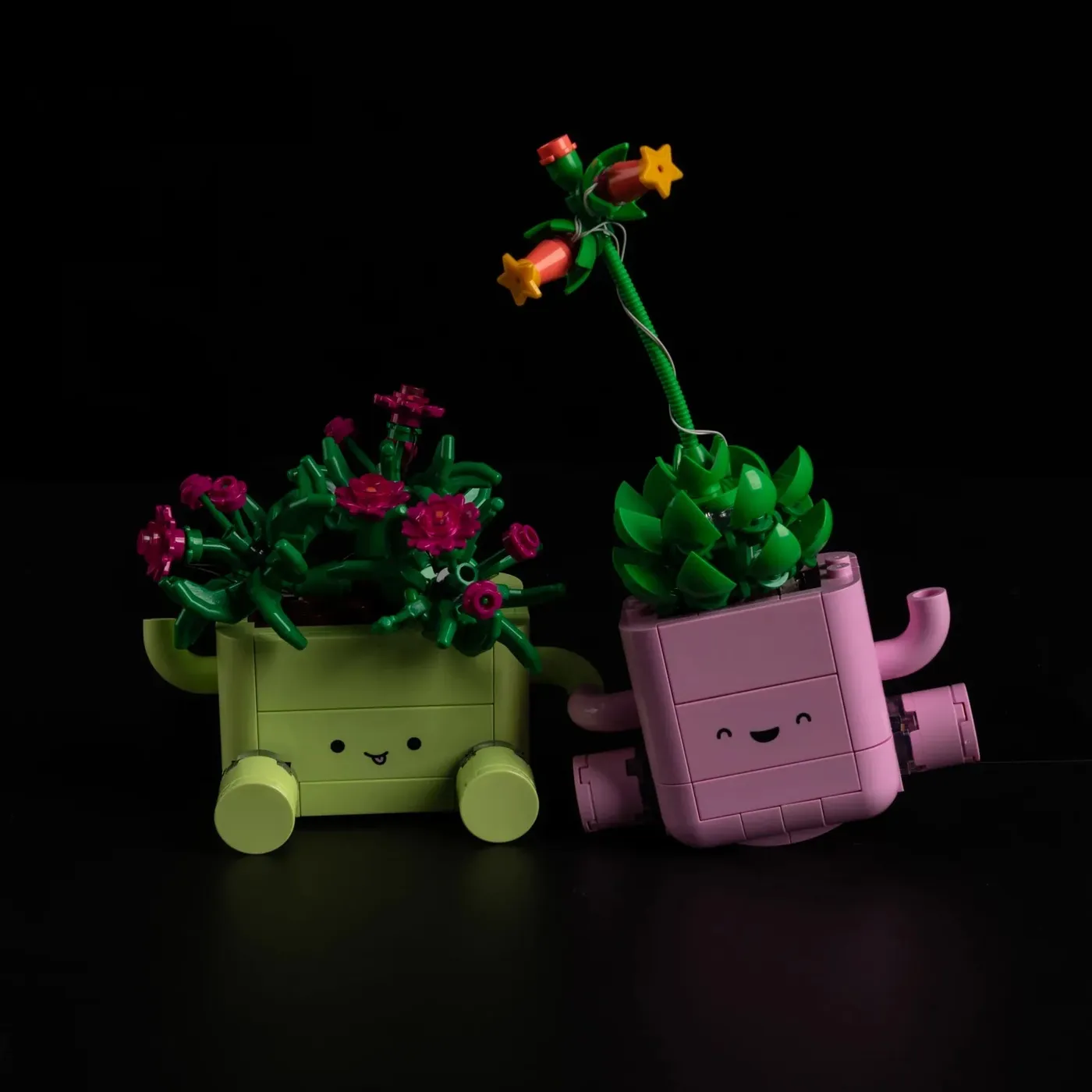 Premium Light Kit Compatible with LEGO Botanicals Rocking Plants 11506 — 6