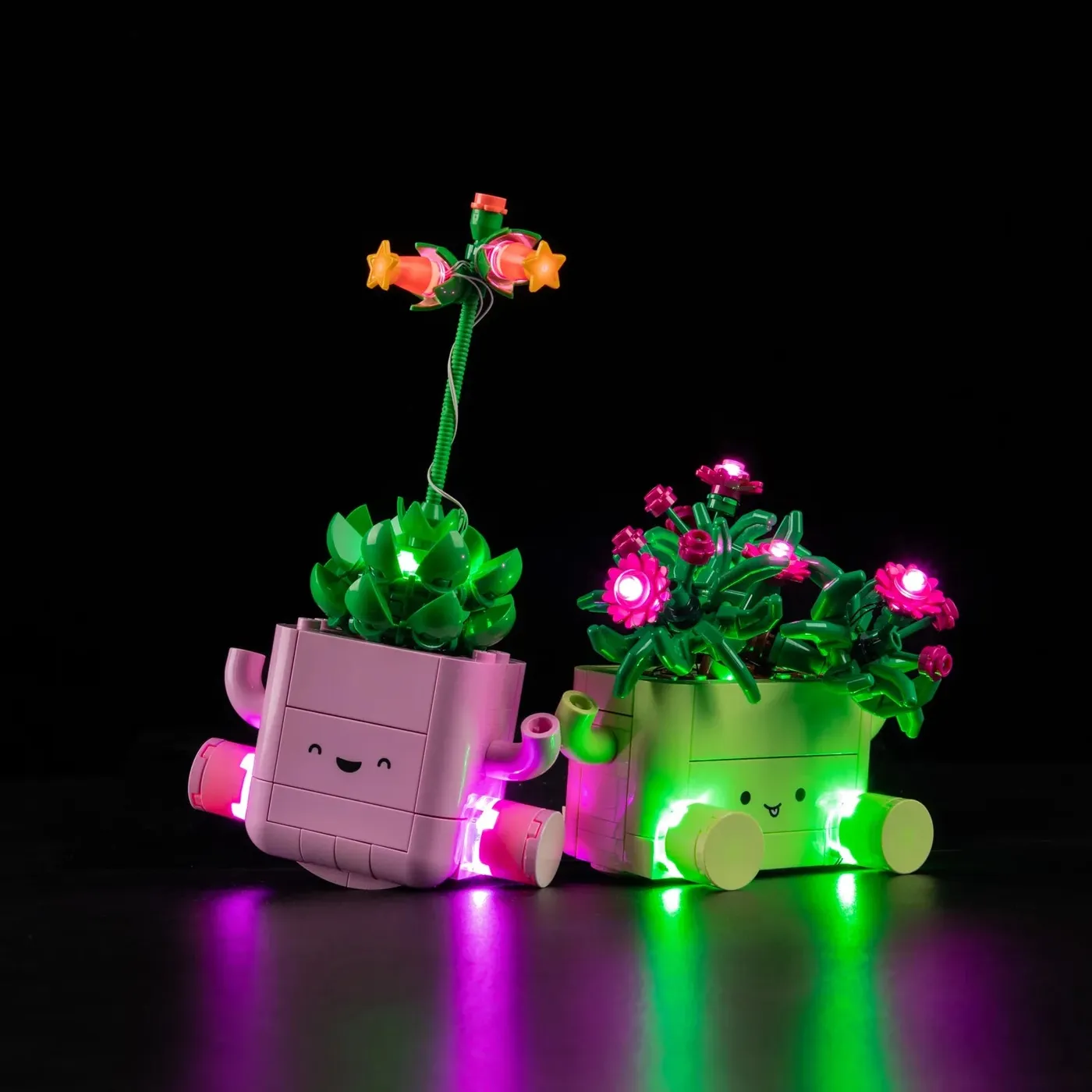 Premium Light Kit Compatible with LEGO Botanicals Rocking Plants 11506 — 11