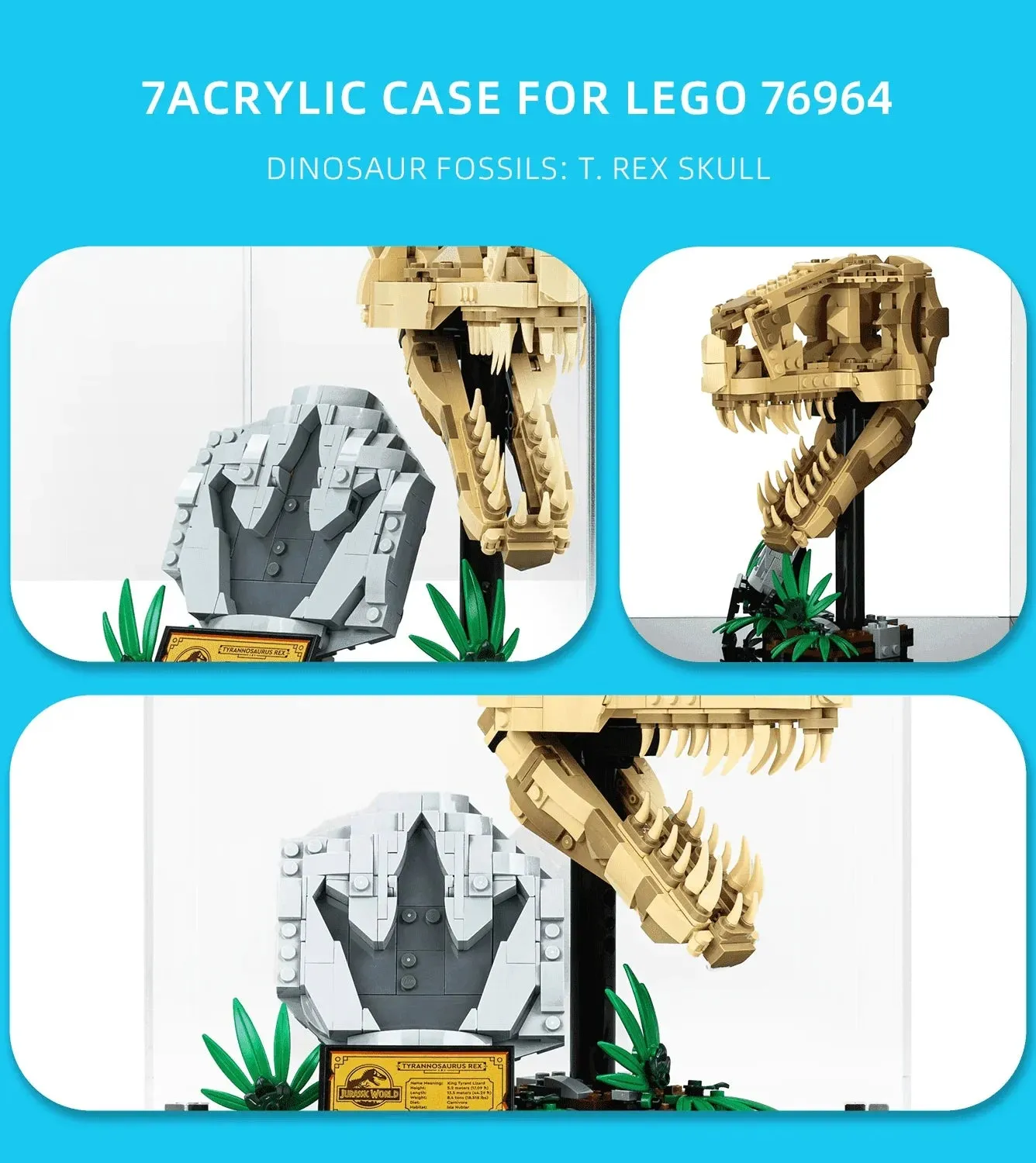 Eksponavimo dėžė Lego Dinosaur Fossils T. rex Skull 76964 — 4