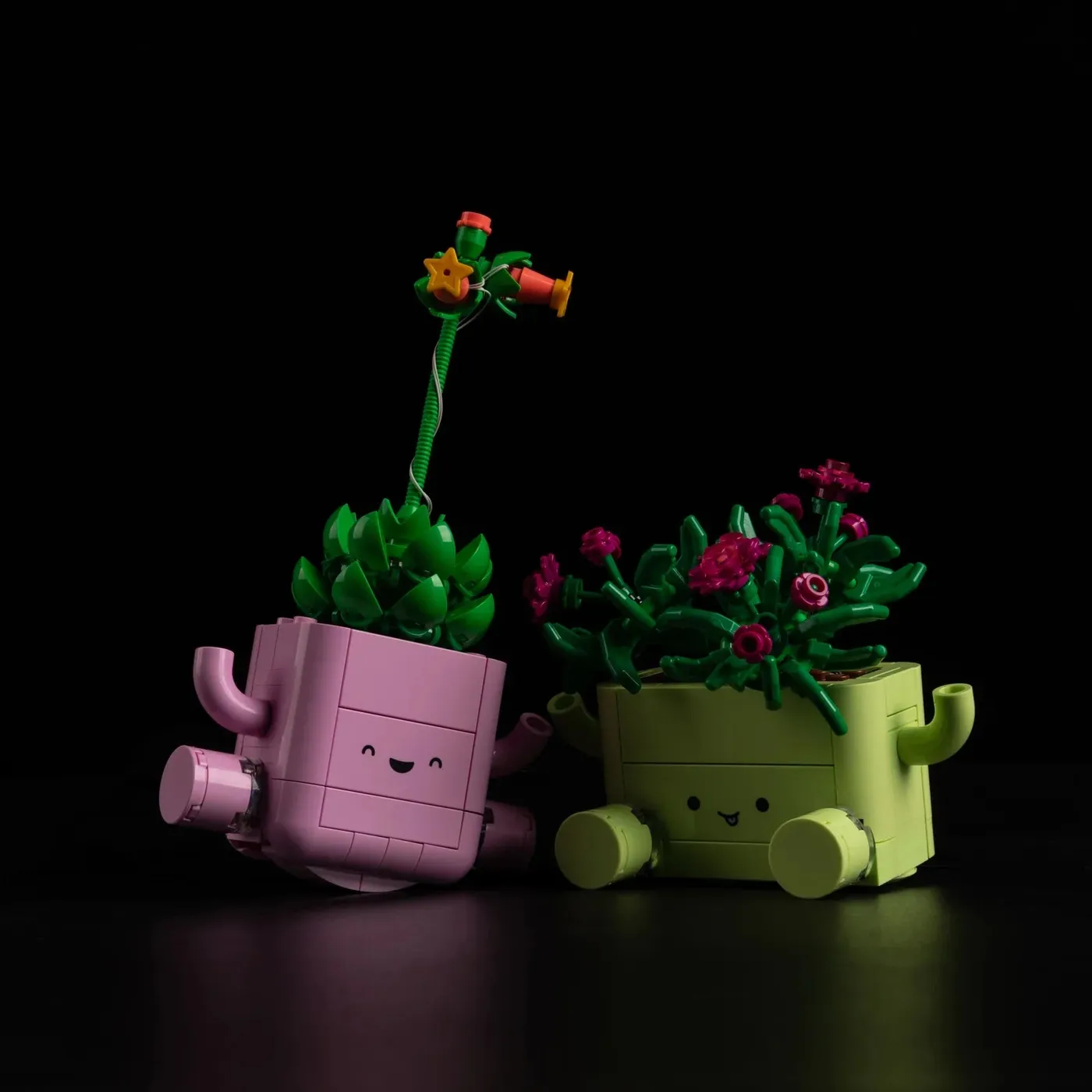 Premium Light Kit Compatible with LEGO Botanicals Rocking Plants 11506 — 10
