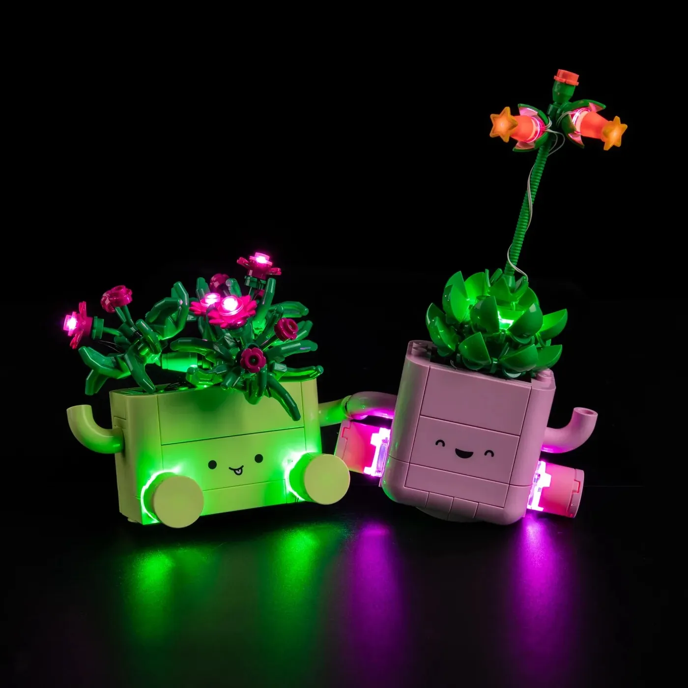 Premium Light Kit Compatible with LEGO Botanicals Rocking Plants 11506