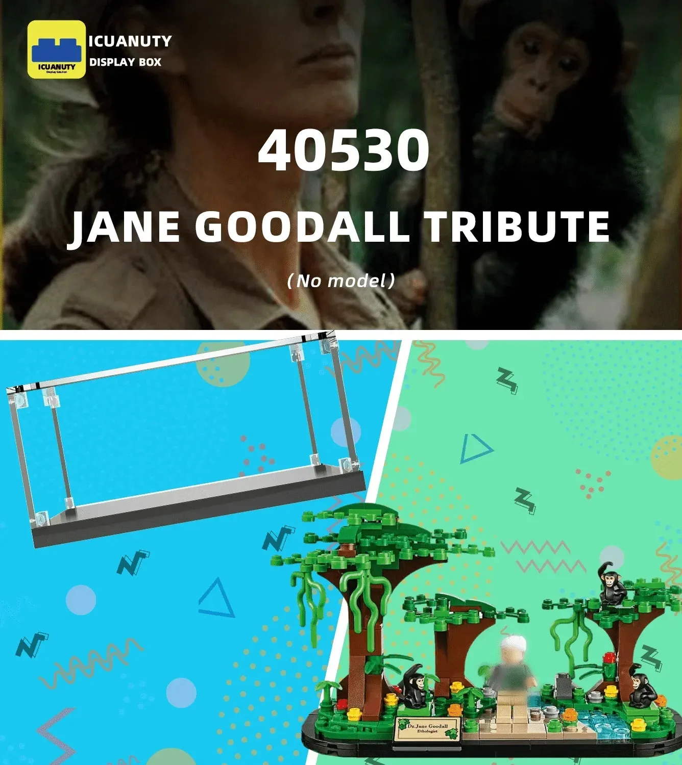 Vitrine für LEGO Creator Jane Goodall Tribute 40530 — 4