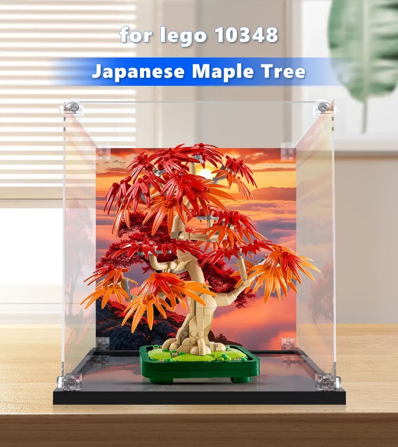 Display case for LEGO® The Botanical Collection Japanese Red Maple Bonsai Tree 10348 — 3