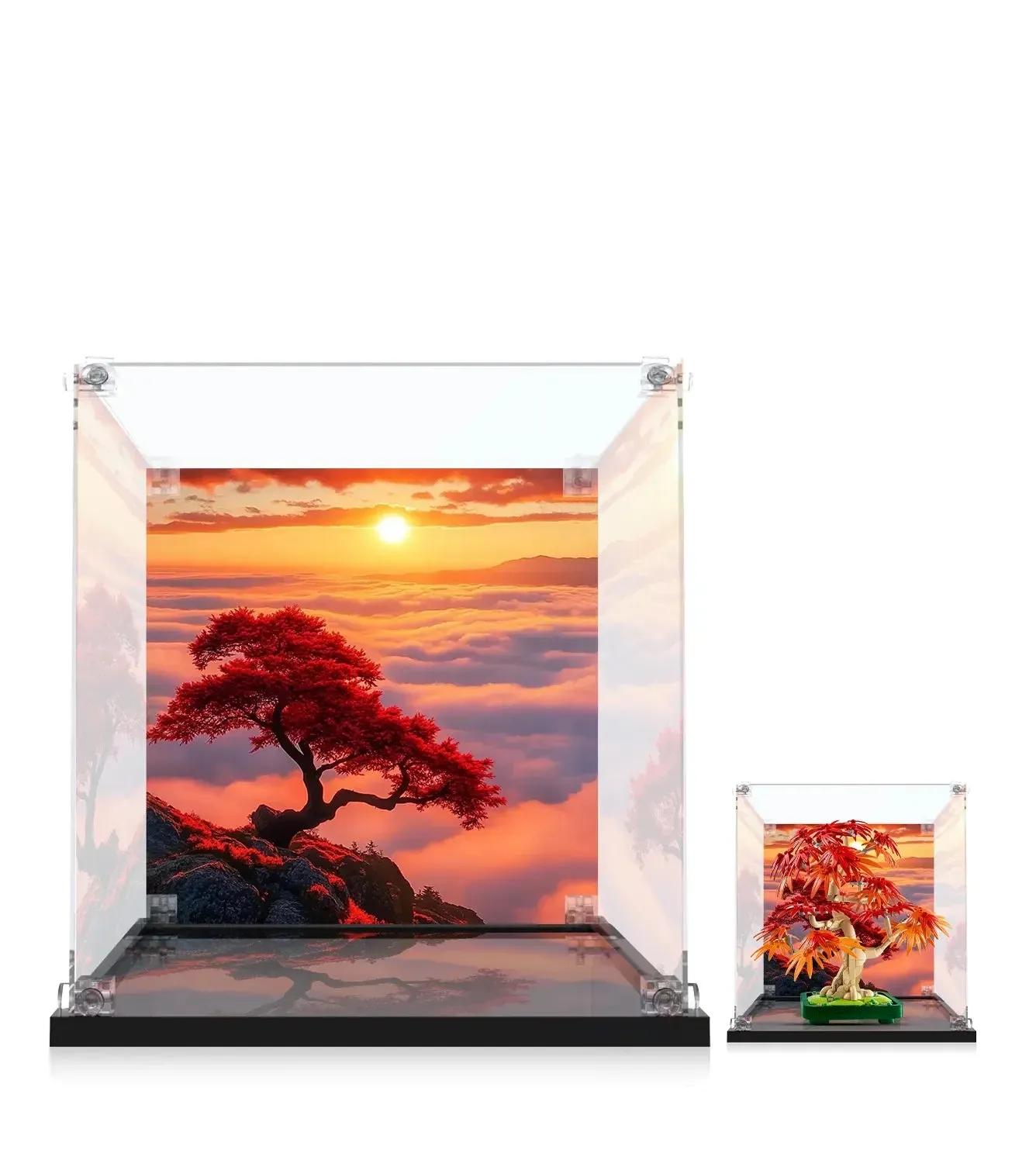 Display case for LEGO® The Botanical Collection Japanese Red Maple Bonsai Tree 10348 — 2