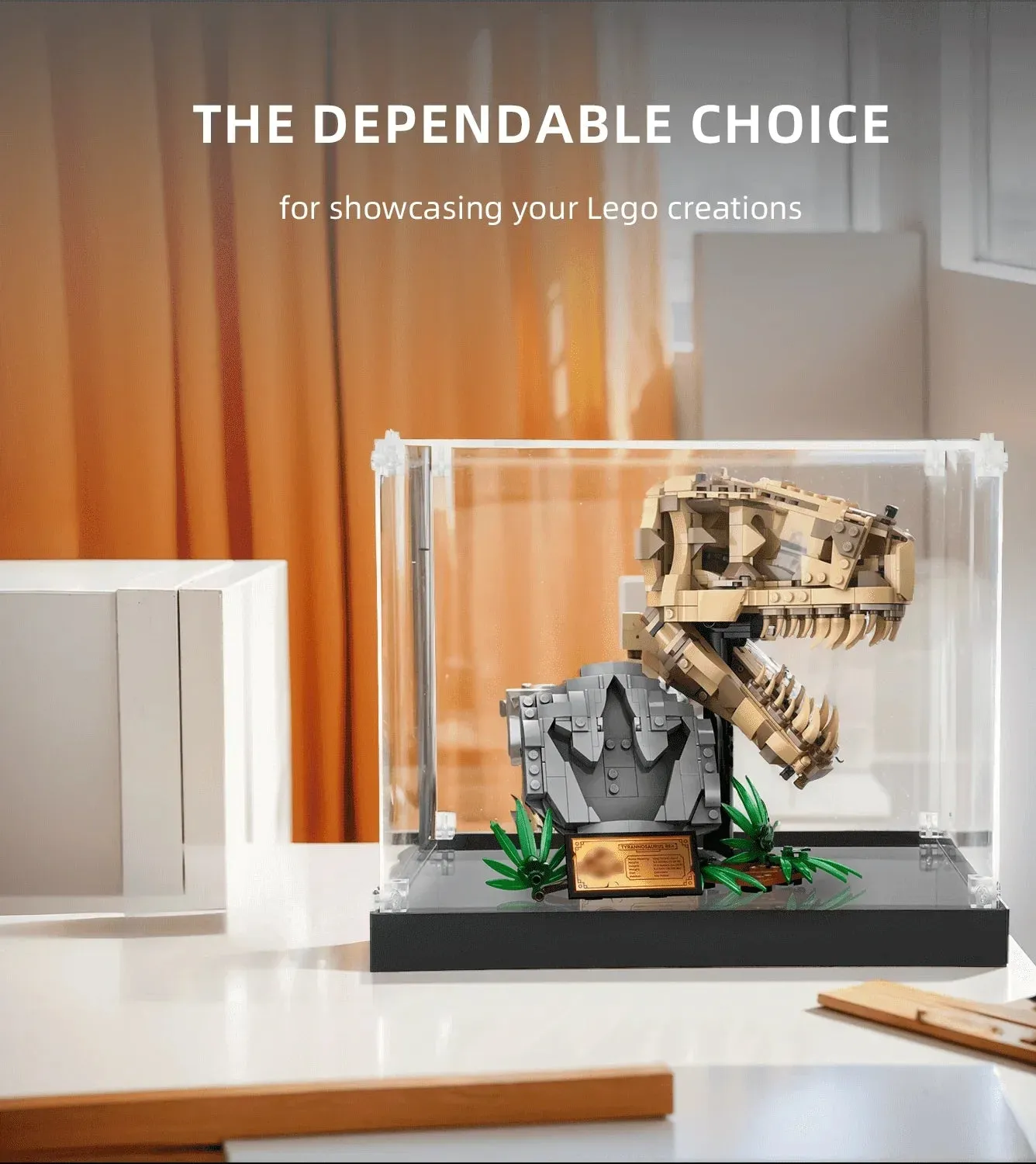 Eksponavimo dėžė Lego Dinosaur Fossils T. rex Skull 76964 — 3