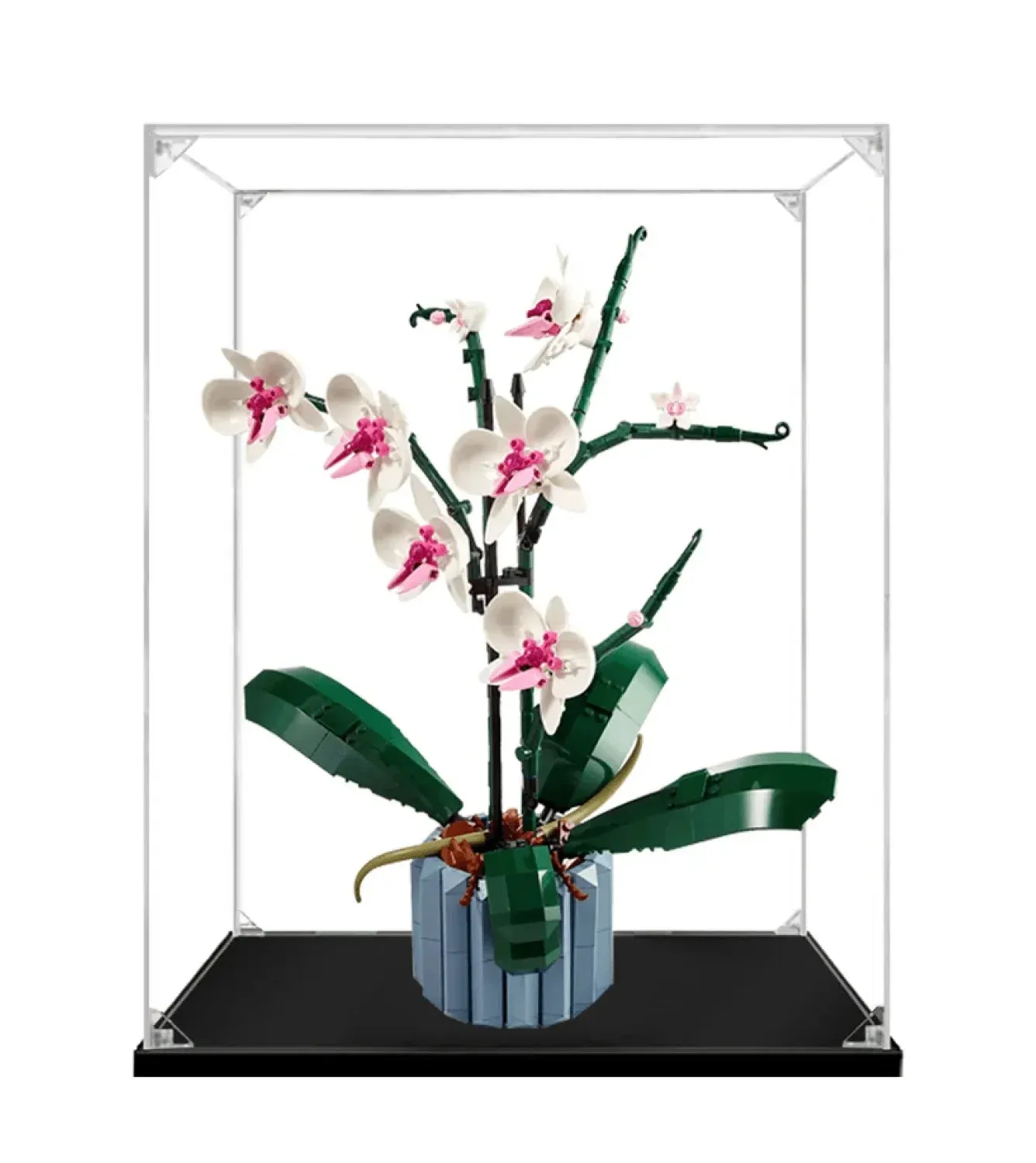 KABO-Eksponavimo dėžė Lego Creator Orchid 10311