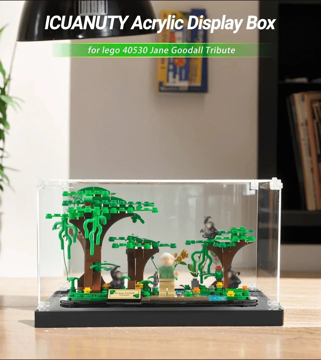 Vitrine für LEGO Creator Jane Goodall Tribute 40530 — 2