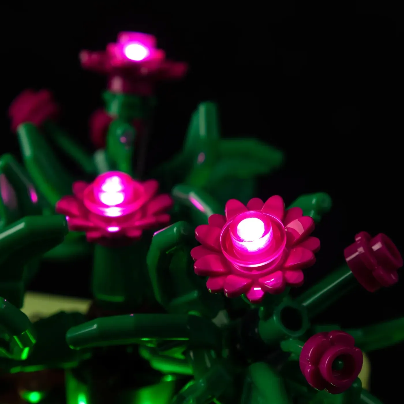 Premium Light Kit Compatible with LEGO Botanicals Rocking Plants 11506 — 19