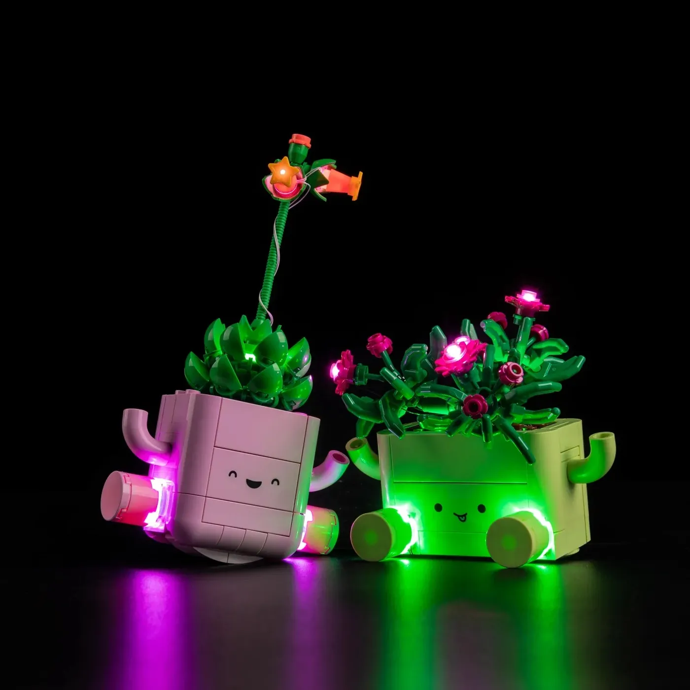 Premium Light Kit Compatible with LEGO Botanicals Rocking Plants 11506 — 9