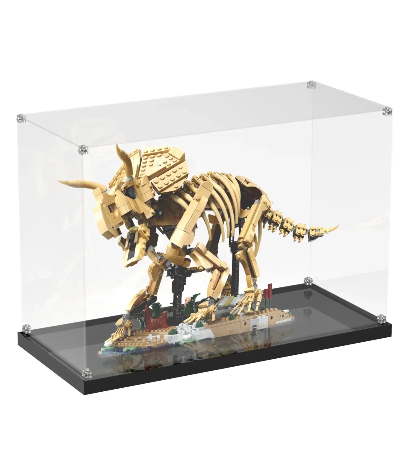 Display Case for LEGO® Dinosaur Fossils: Triceratops (77985) — 2