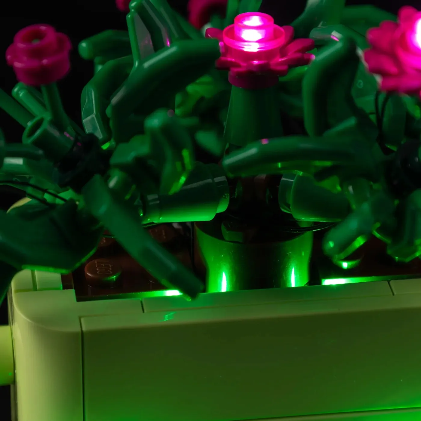 Premium Light Kit Compatible with LEGO Botanicals Rocking Plants 11506 — 20