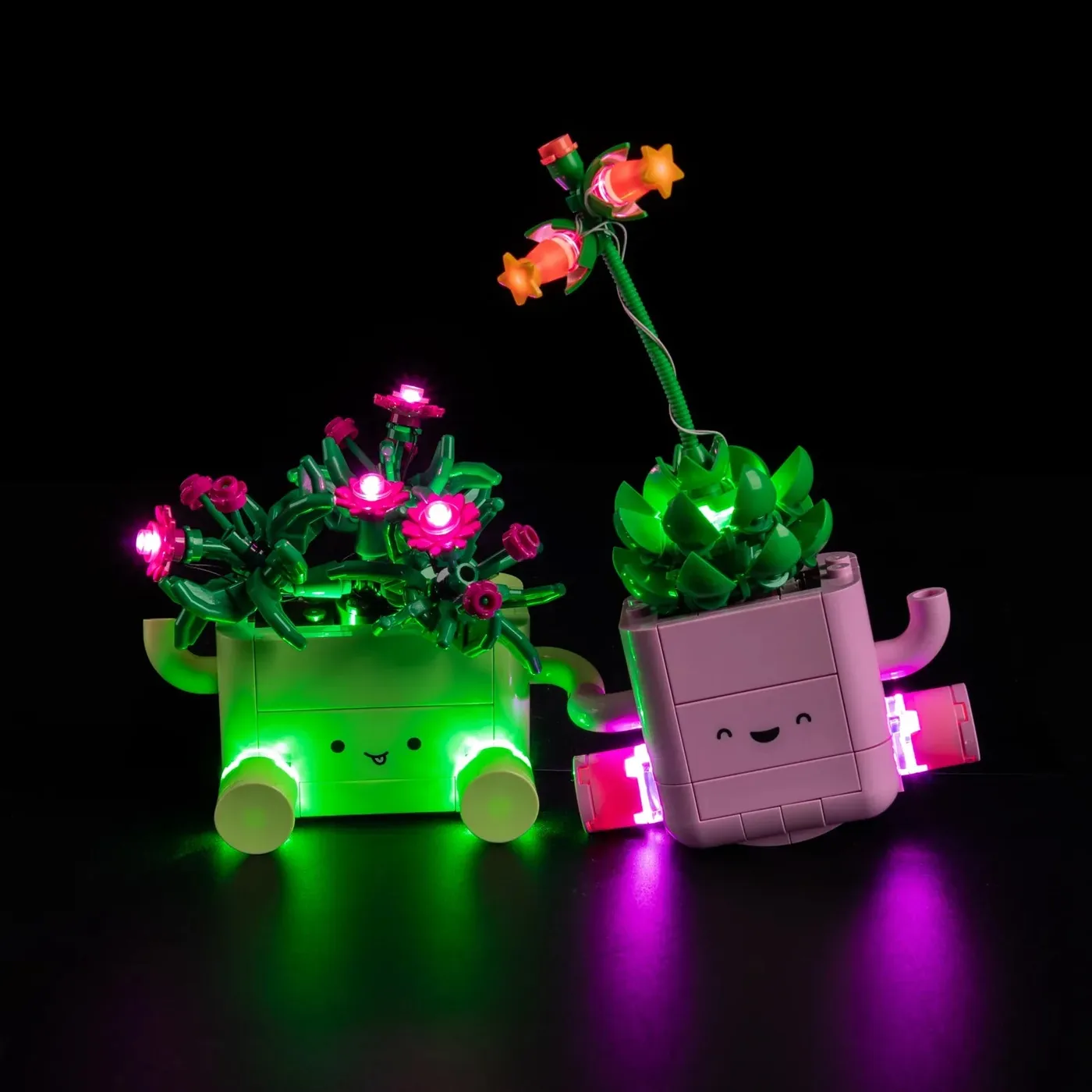 Premium Light Kit Compatible with LEGO Botanicals Rocking Plants 11506 — 5