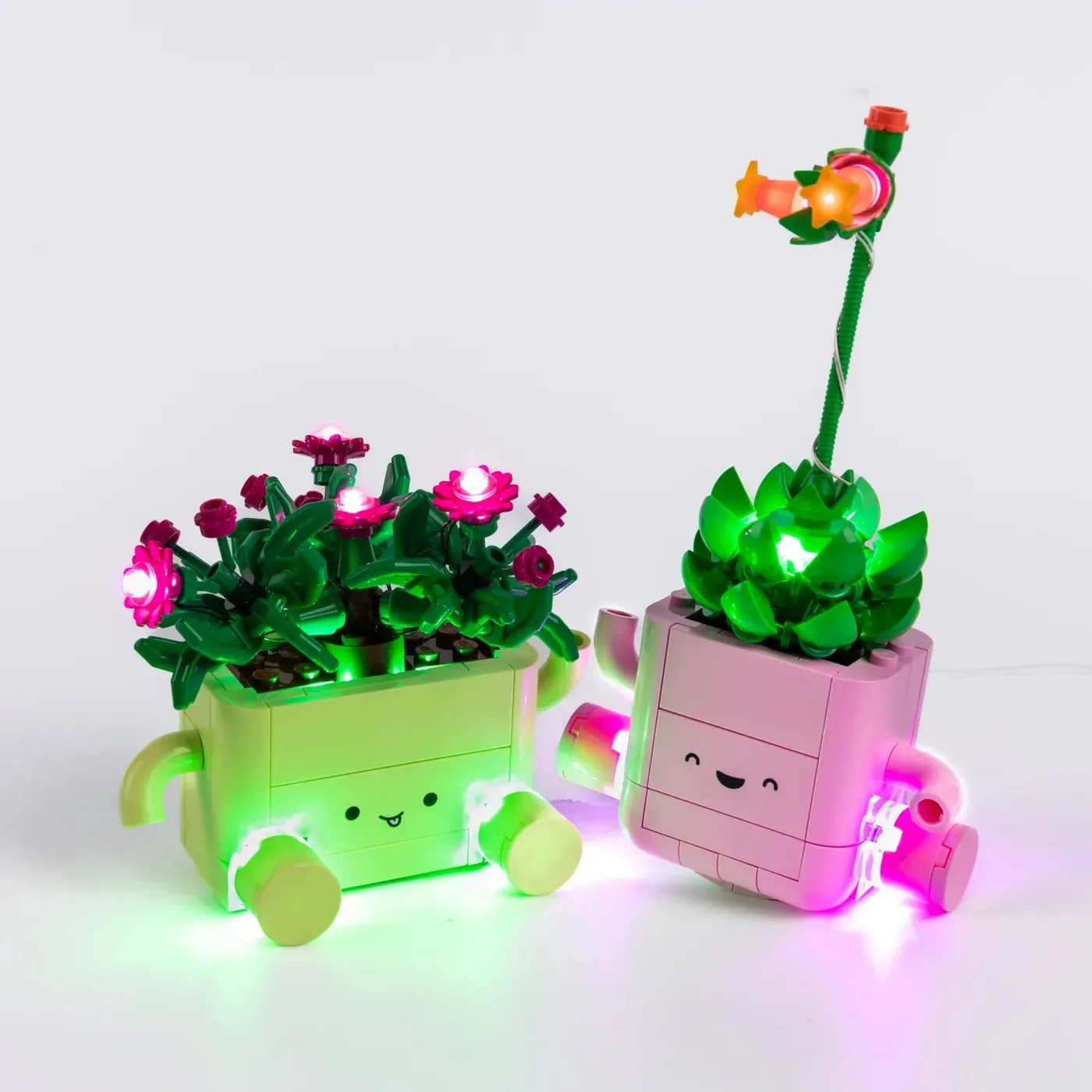 Premium Light Kit Compatible with LEGO Botanicals Rocking Plants 11506 — 2