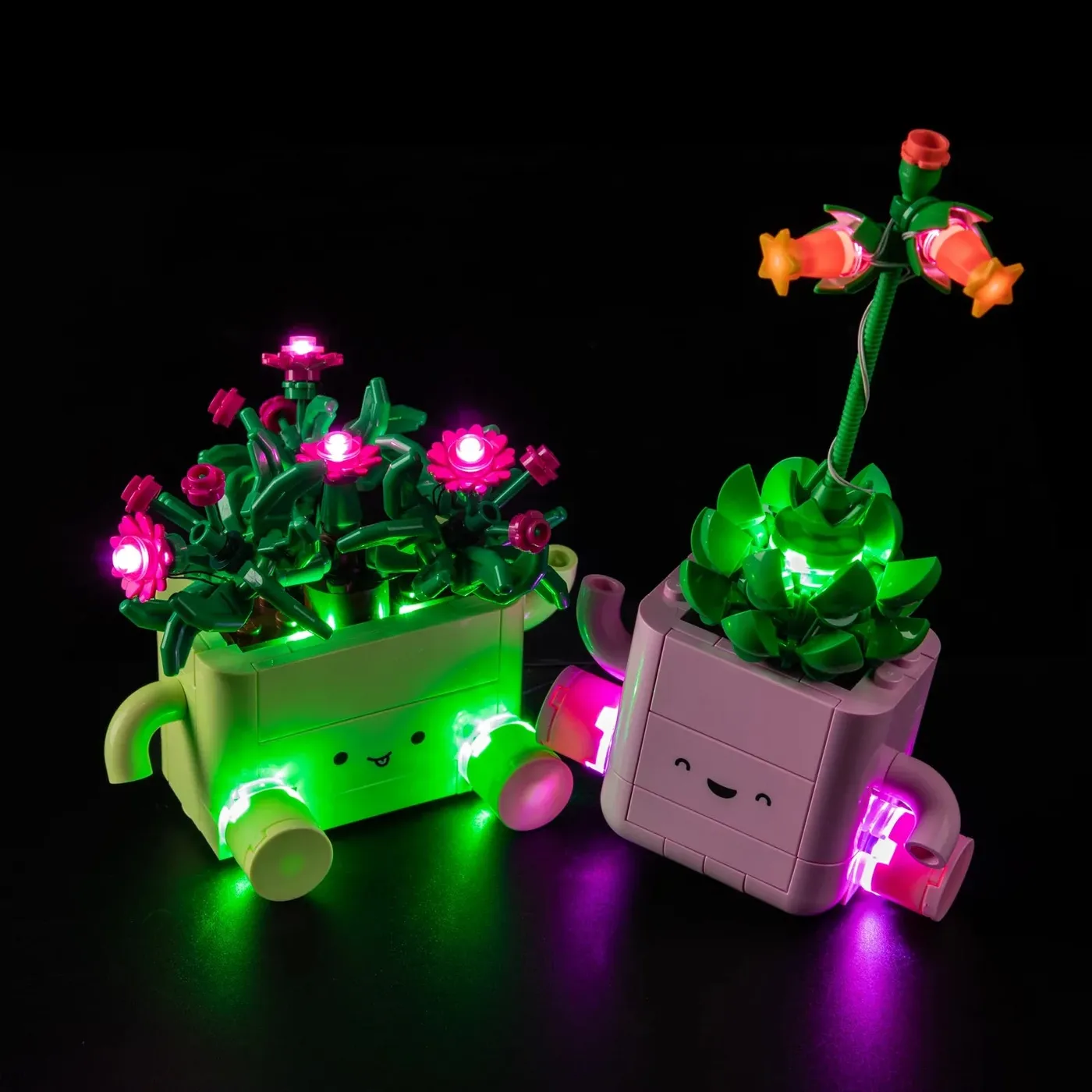 Premium Light Kit Compatible with LEGO Botanicals Rocking Plants 11506 — 13