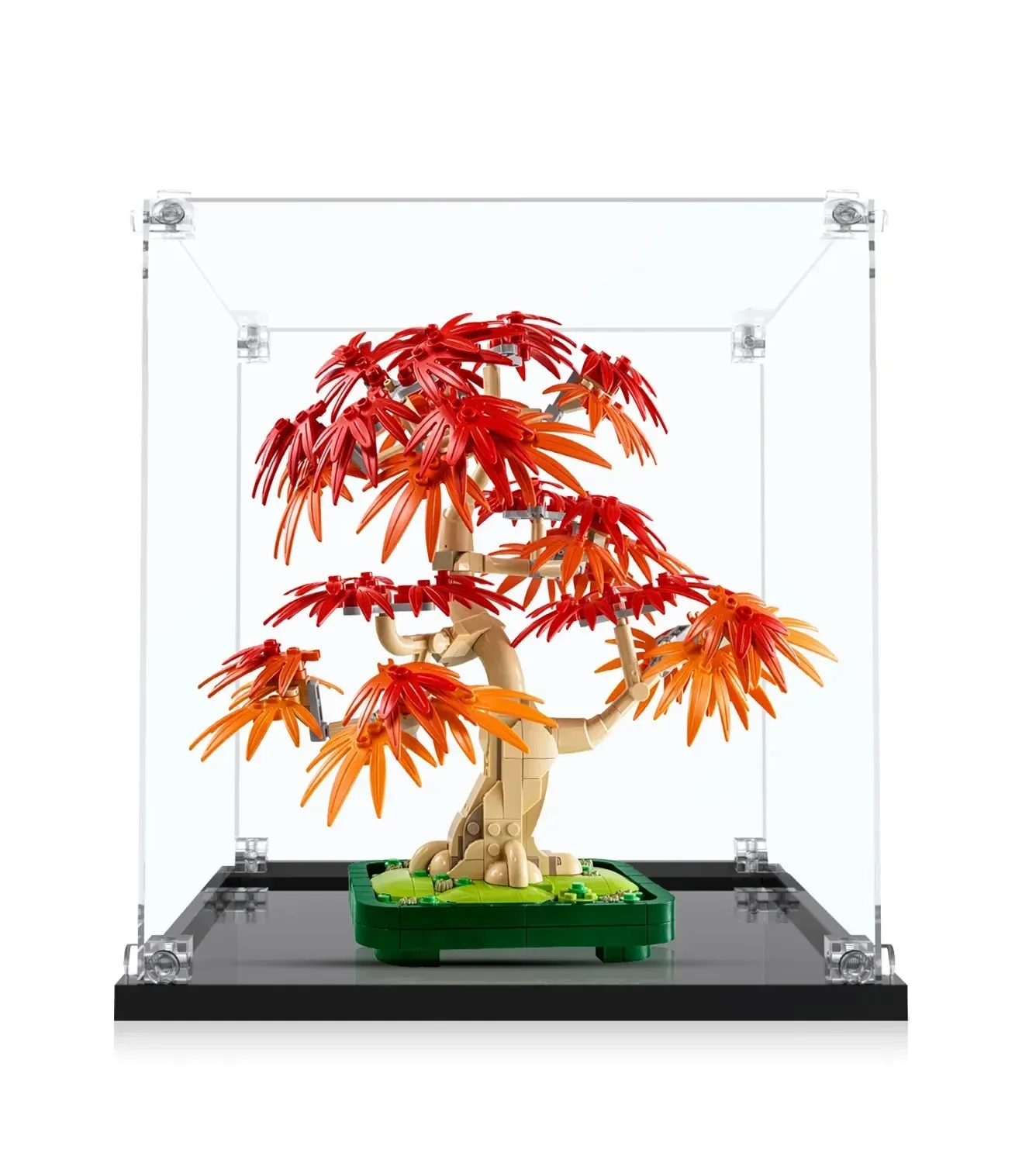 Display case for LEGO® The Botanical Collection Japanese Red Maple Bonsai Tree 10348 — 10