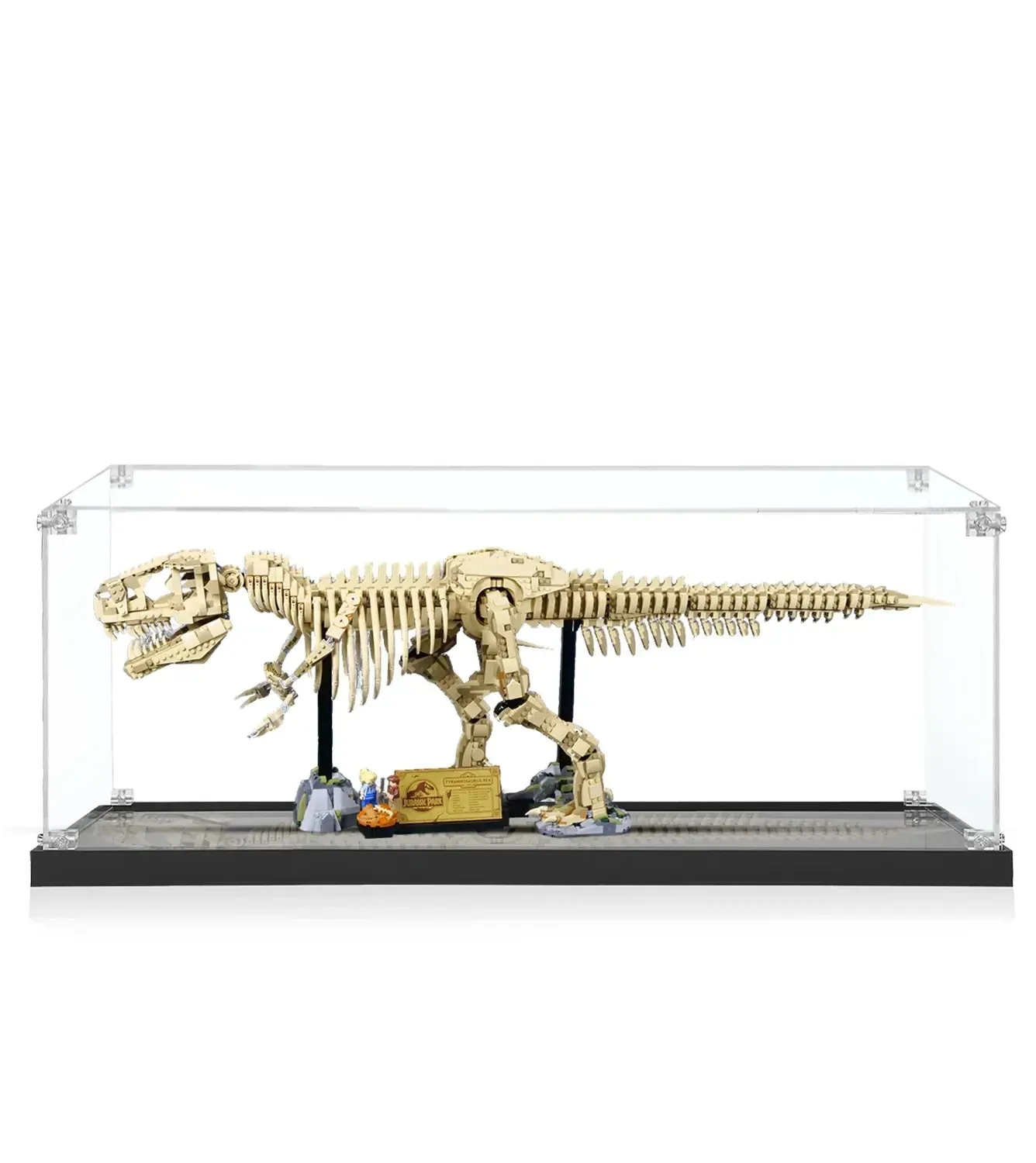 Premium Painted Acrylic Display Case for LEGO® Jurassic World™ Dinosaur Fossils: T. rex (76968) — 5