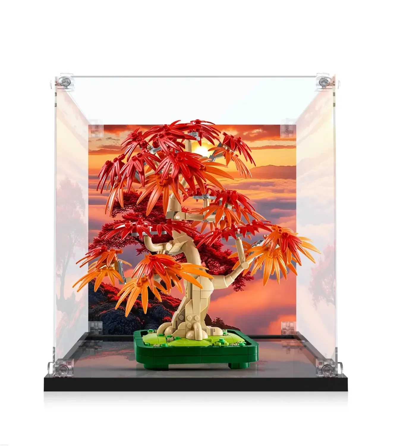 Display case for LEGO® The Botanical Collection Japanese Red Maple Bonsai Tree 10348