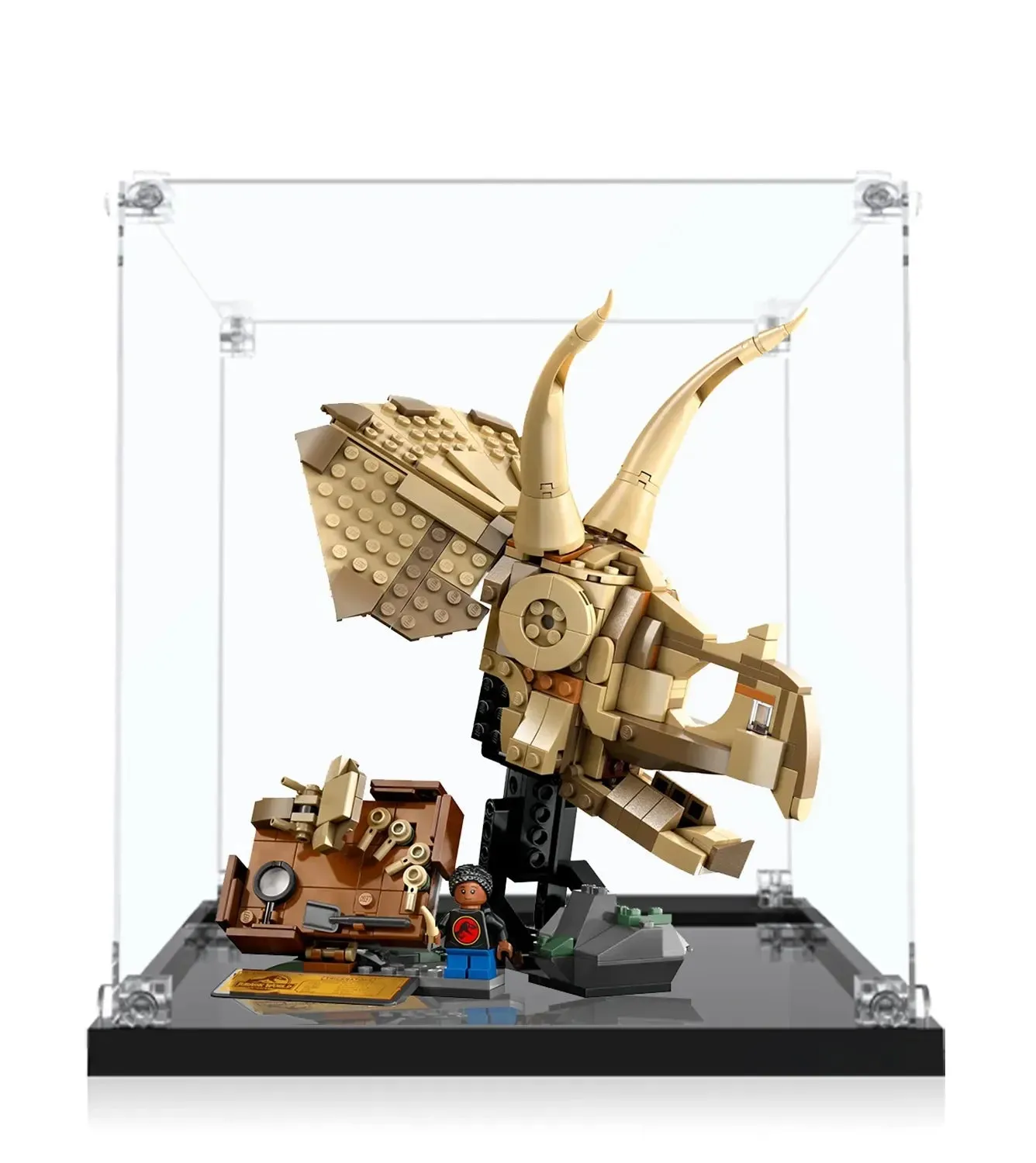 Vitrine für LEGO® Jurassic World™ Dinosaur Fossils: Triceratops Skull 76969