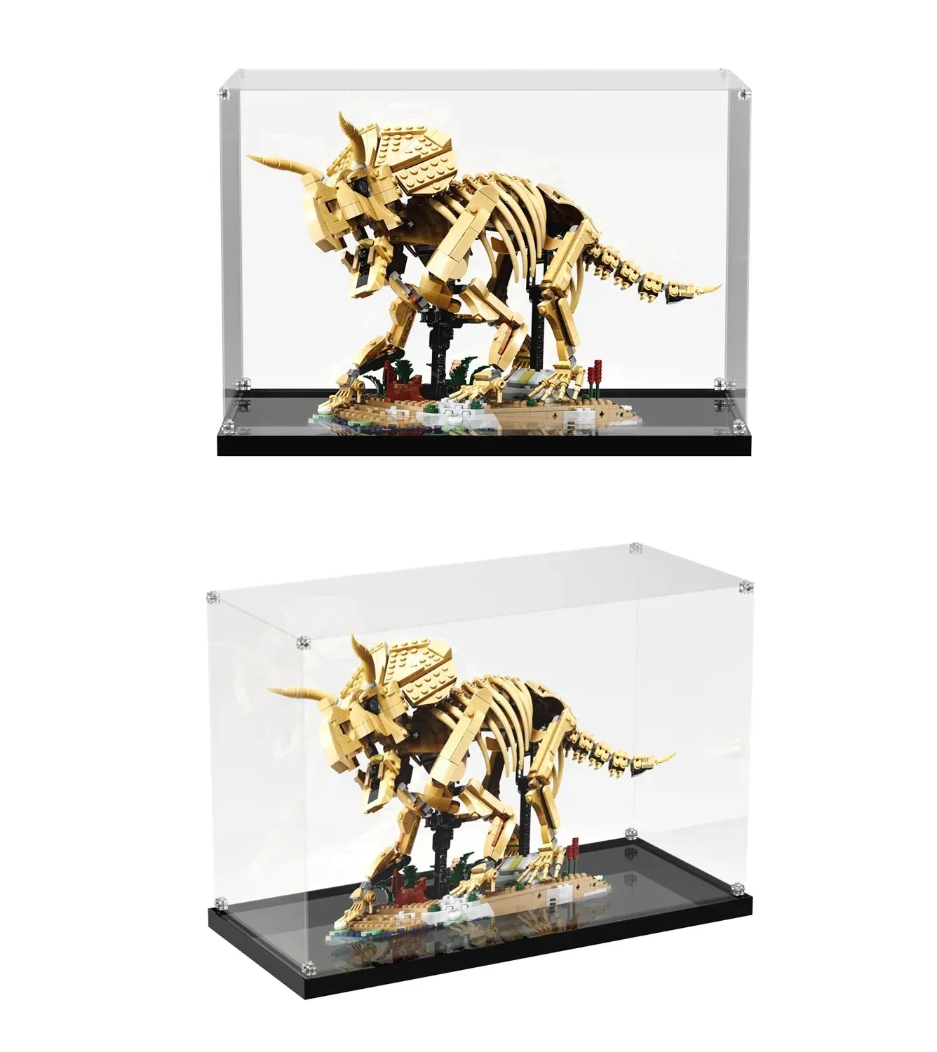 Display Case for LEGO® Dinosaur Fossils: Triceratops (77985) — 4
